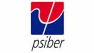 PSIBER DATA